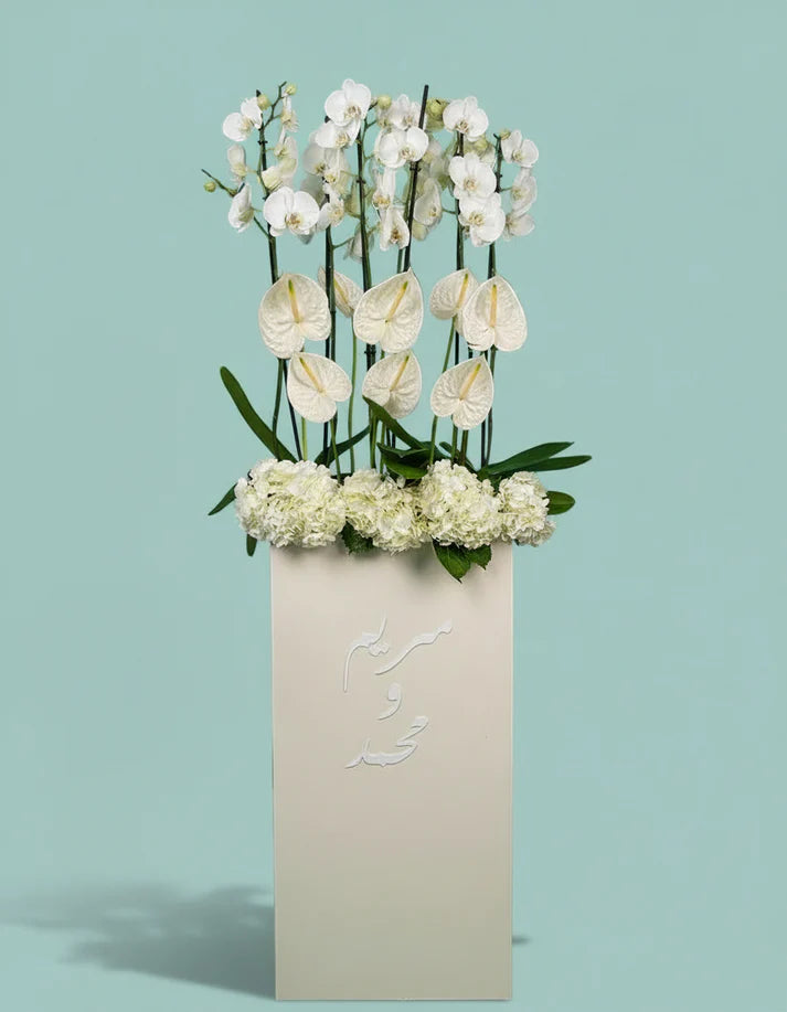 Orchid Luxe Edition