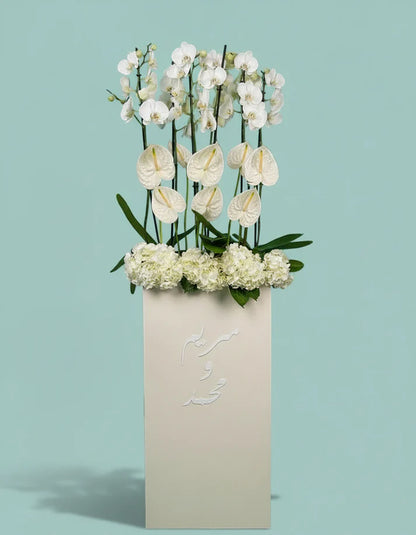 Orchid Luxe Edition