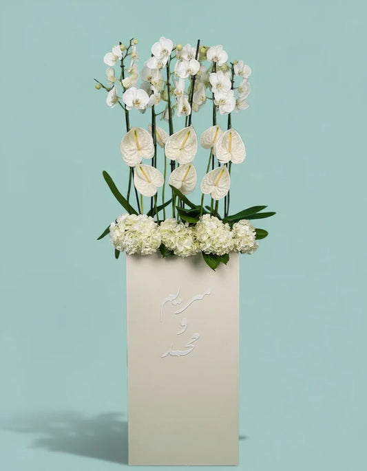 Orchid Luxe Edition