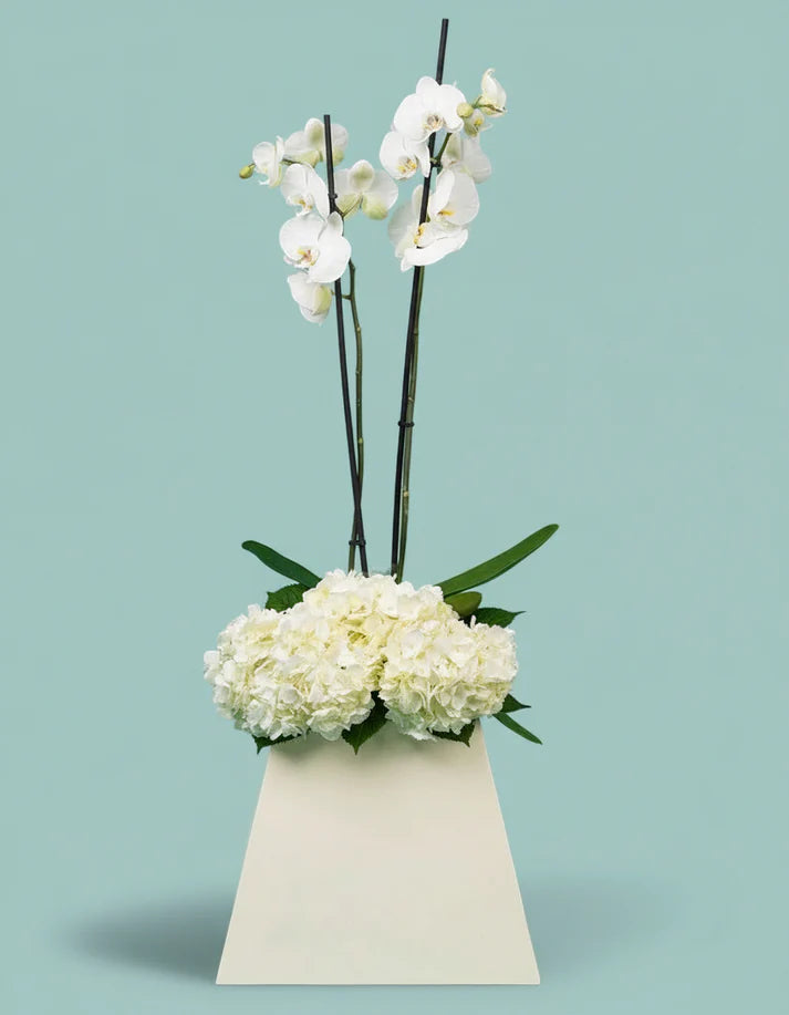 Orchid Pyramid