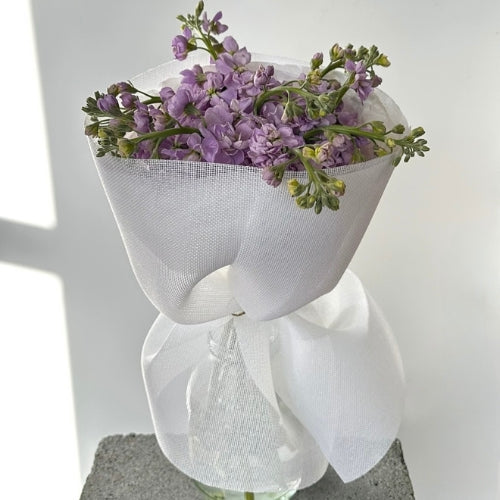 Stock flower